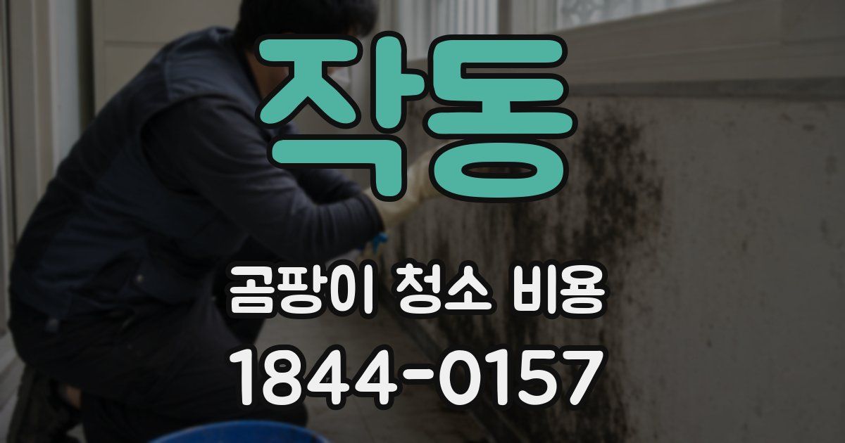작동 곰팡이 청소 비용