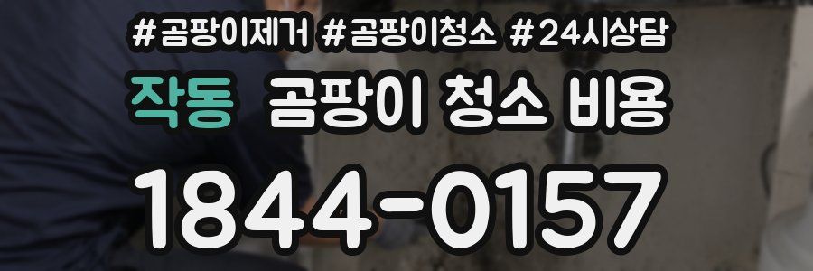 작동 곰팡이 청소 비용