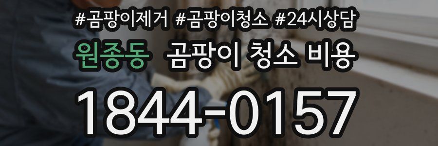 원종동 곰팡이 청소 비용