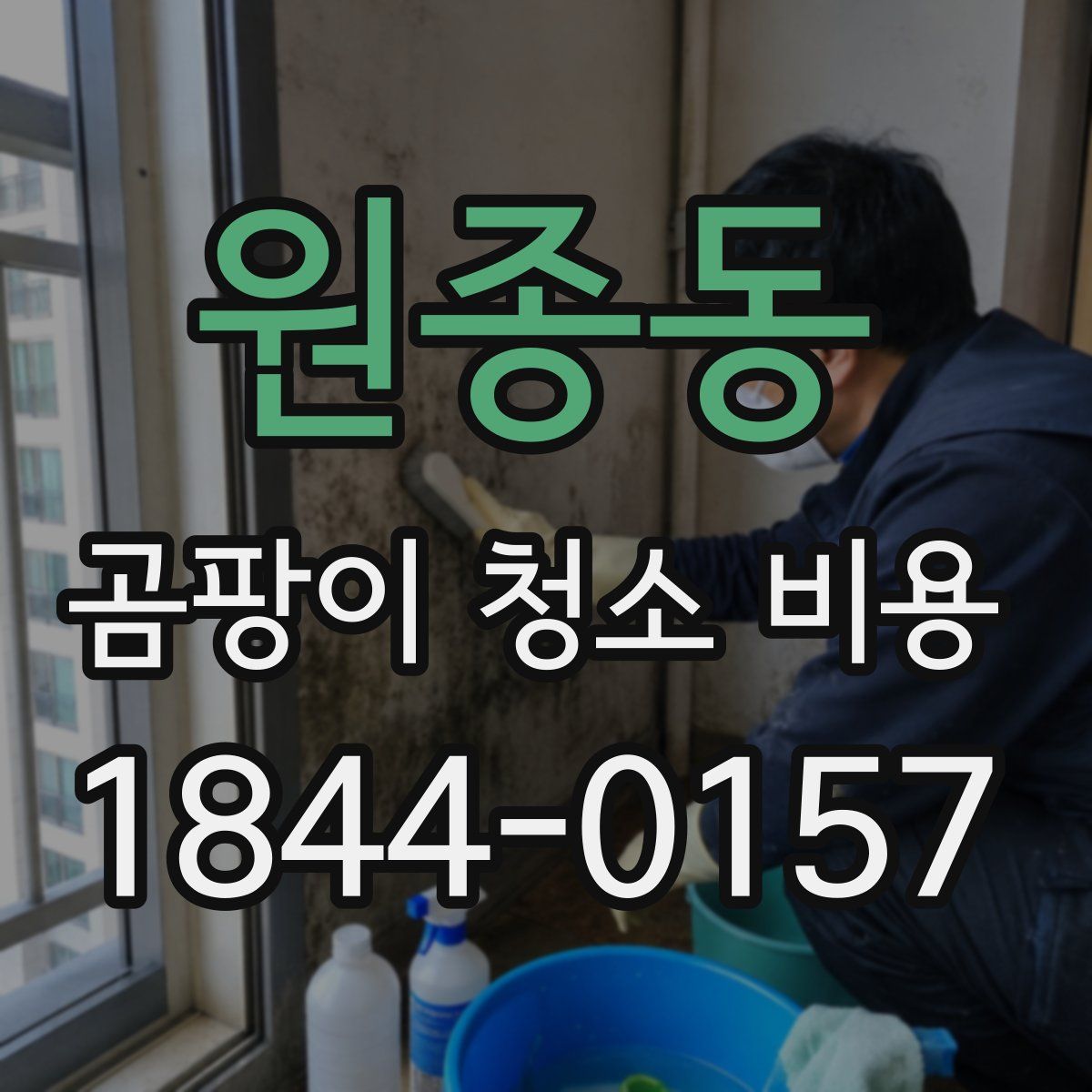 원종동 곰팡이 청소 비용
