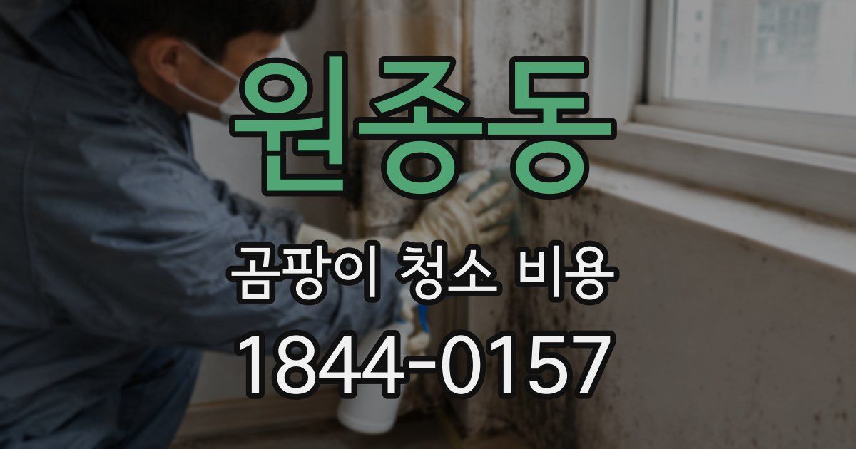 원종동 곰팡이 청소 비용