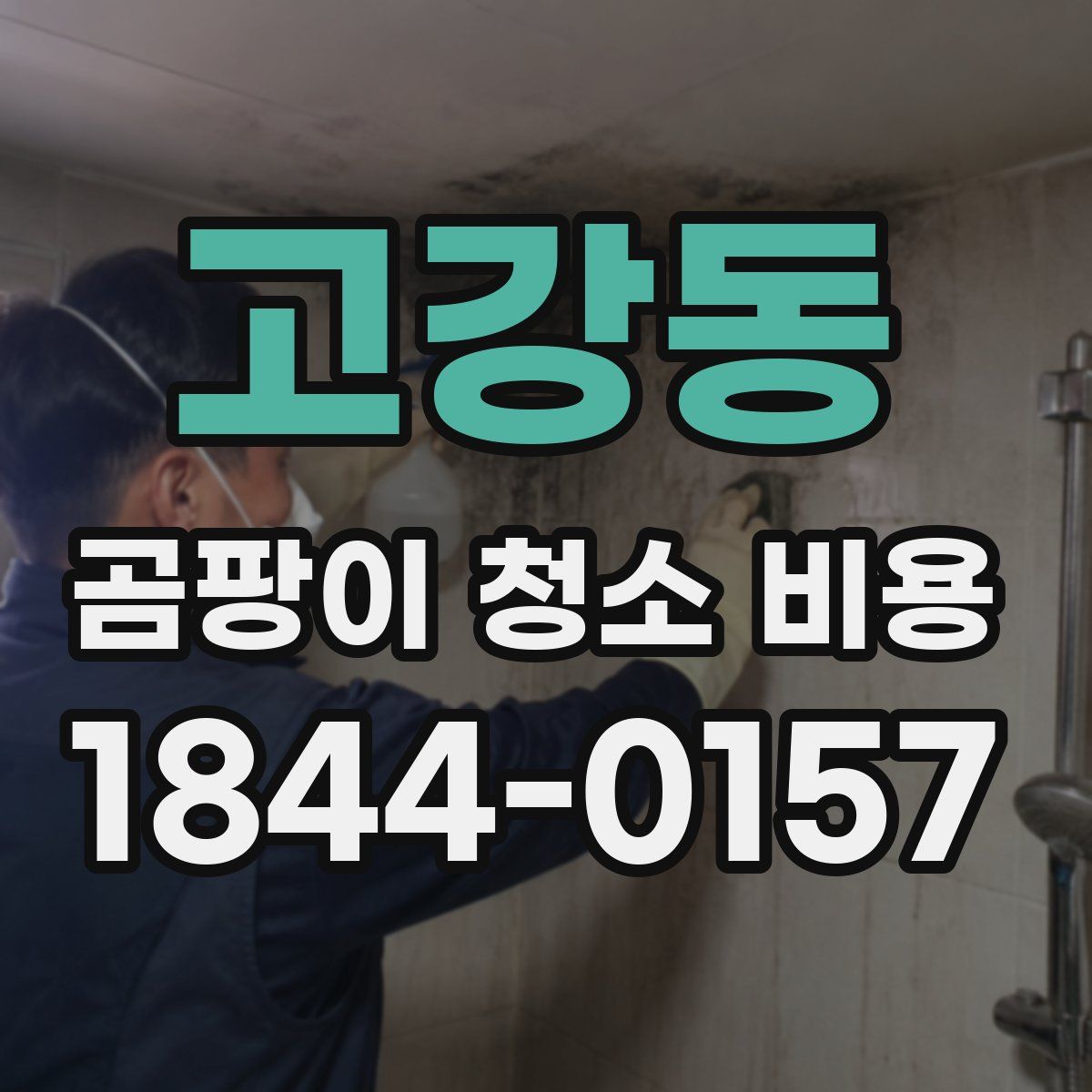 고강동 곰팡이 청소 비용