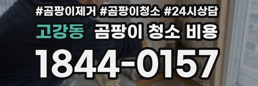 고강동 곰팡이 청소 비용