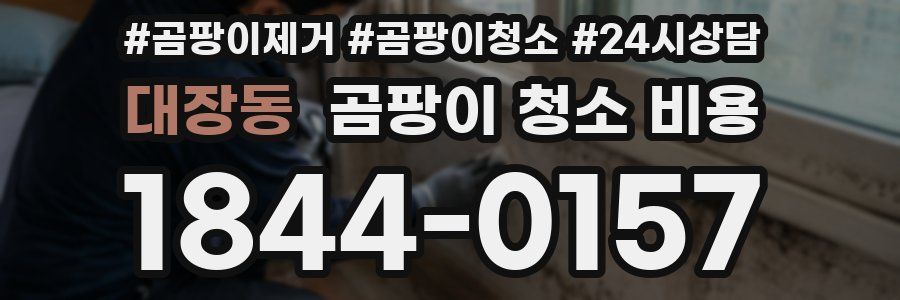 대장동 곰팡이 청소 비용