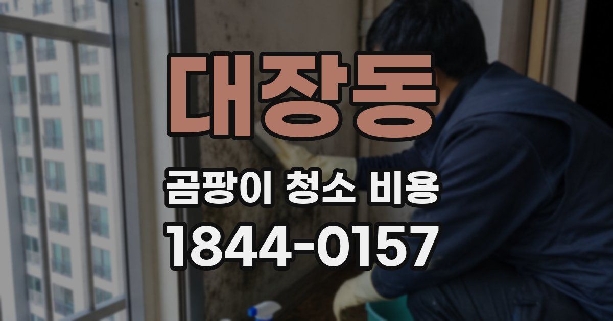 대장동 곰팡이 청소 비용