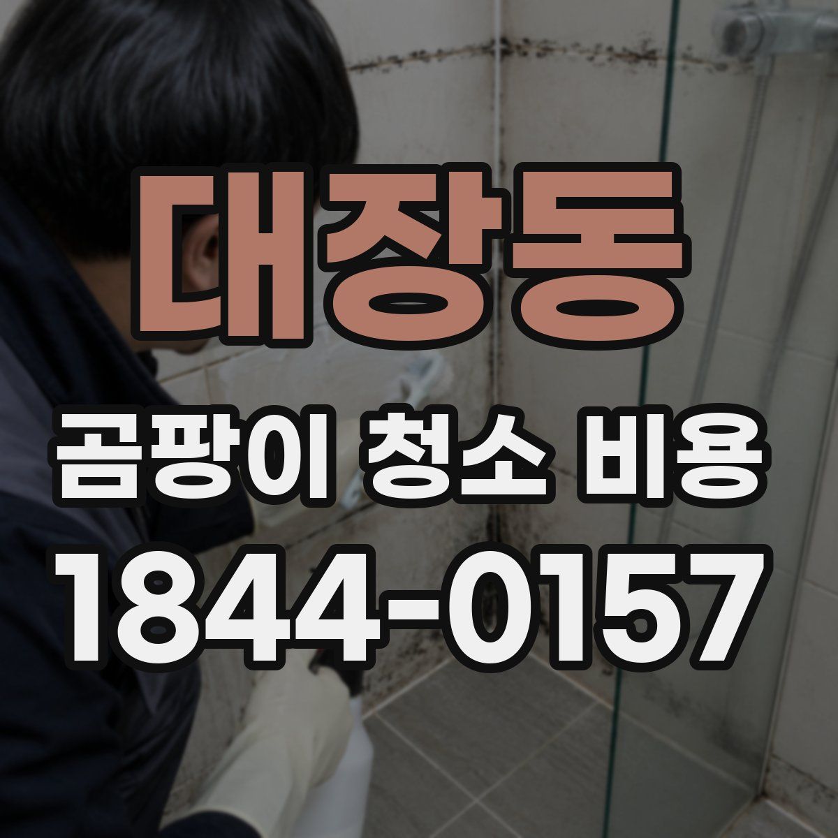 대장동 곰팡이 청소 비용