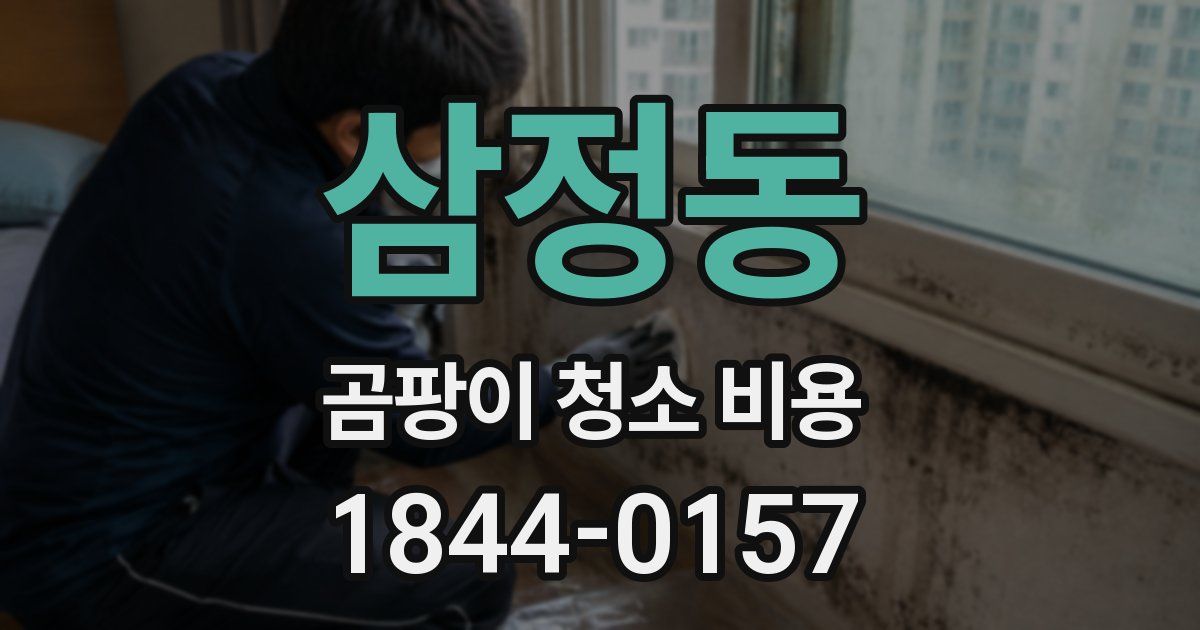 삼정동 곰팡이 청소 비용