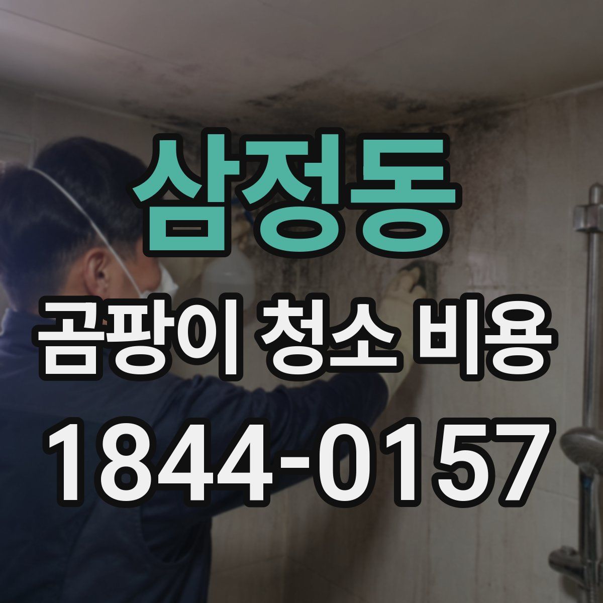 삼정동 곰팡이 청소 비용