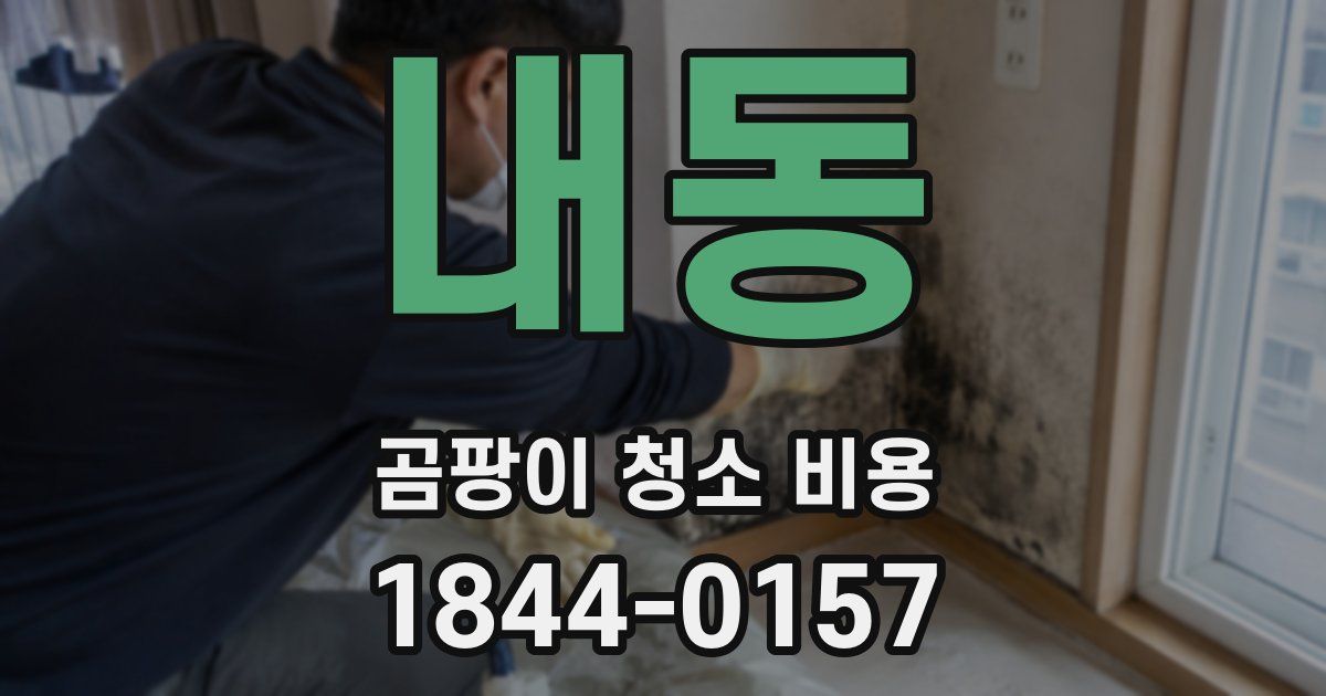 내동 곰팡이 청소 비용