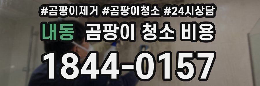 내동 곰팡이 청소 비용