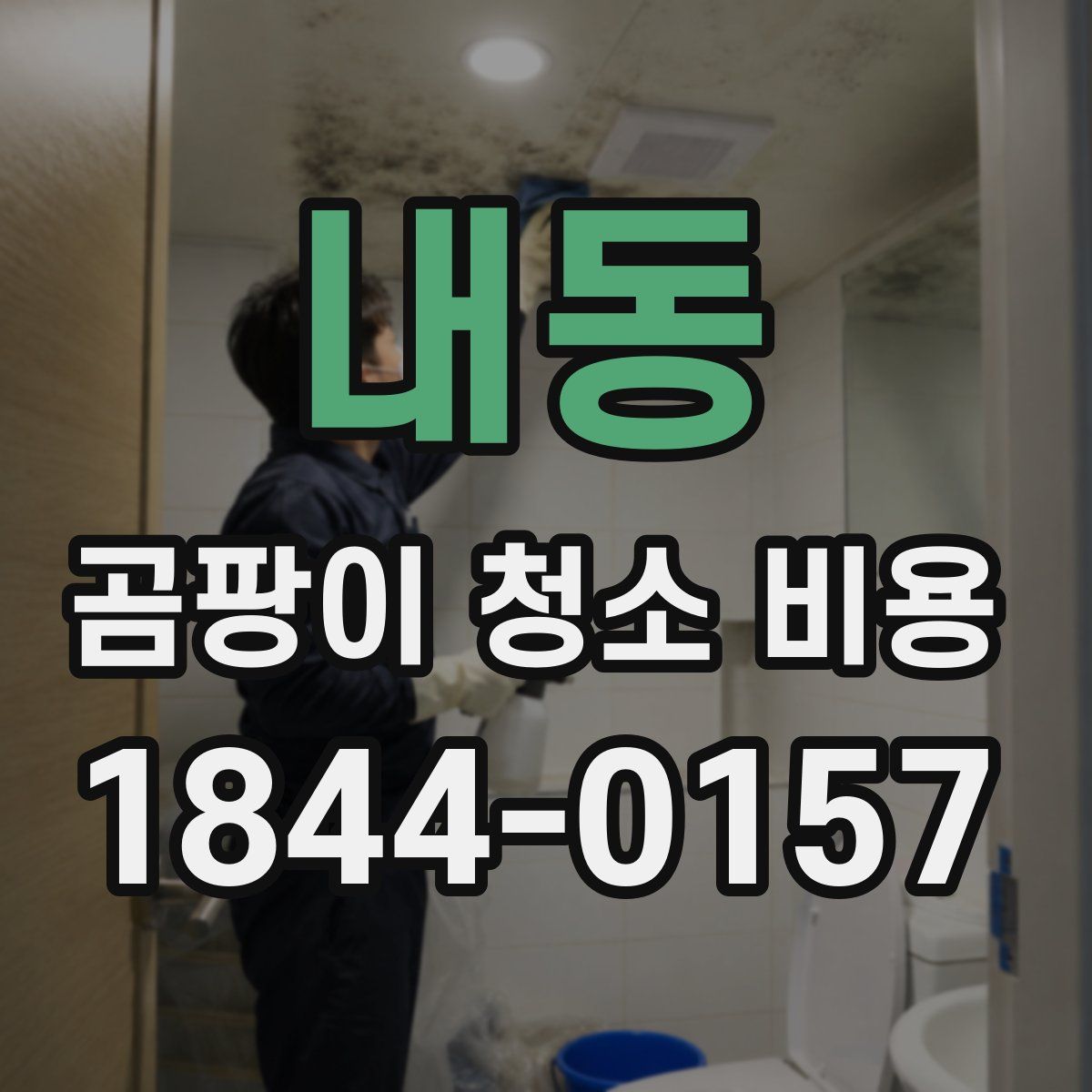 내동 곰팡이 청소 비용