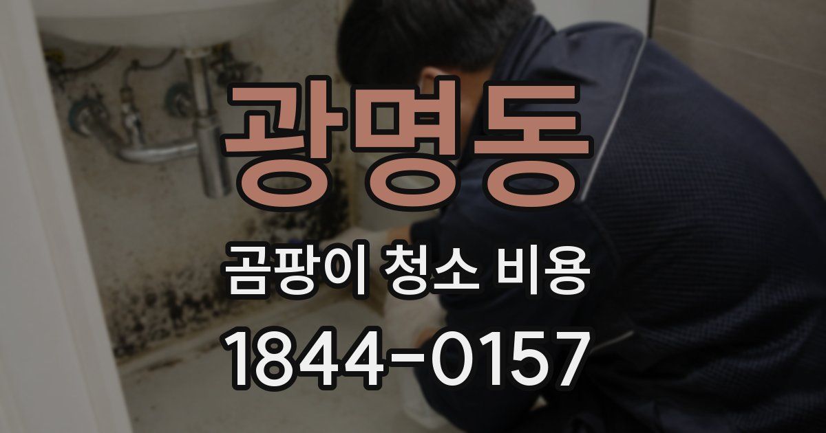 광명동 곰팡이 청소 비용