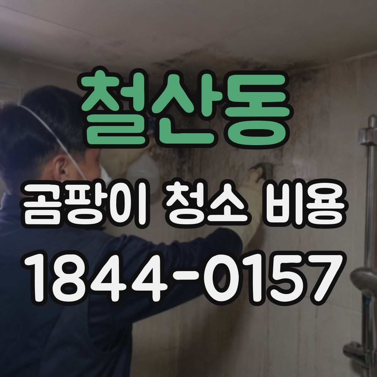 철산동 곰팡이 청소 비용
