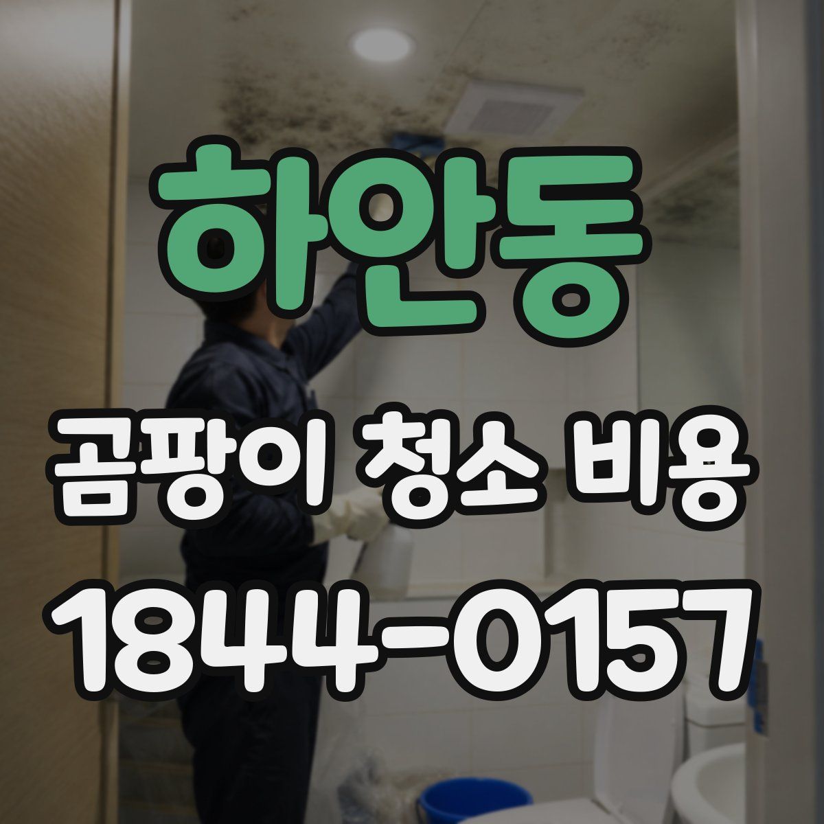 하안동 곰팡이 청소 비용