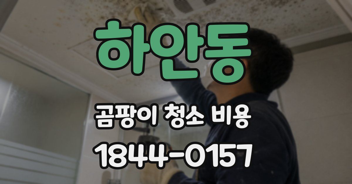 하안동 곰팡이 청소 비용