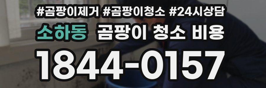 소하동 곰팡이 청소 비용