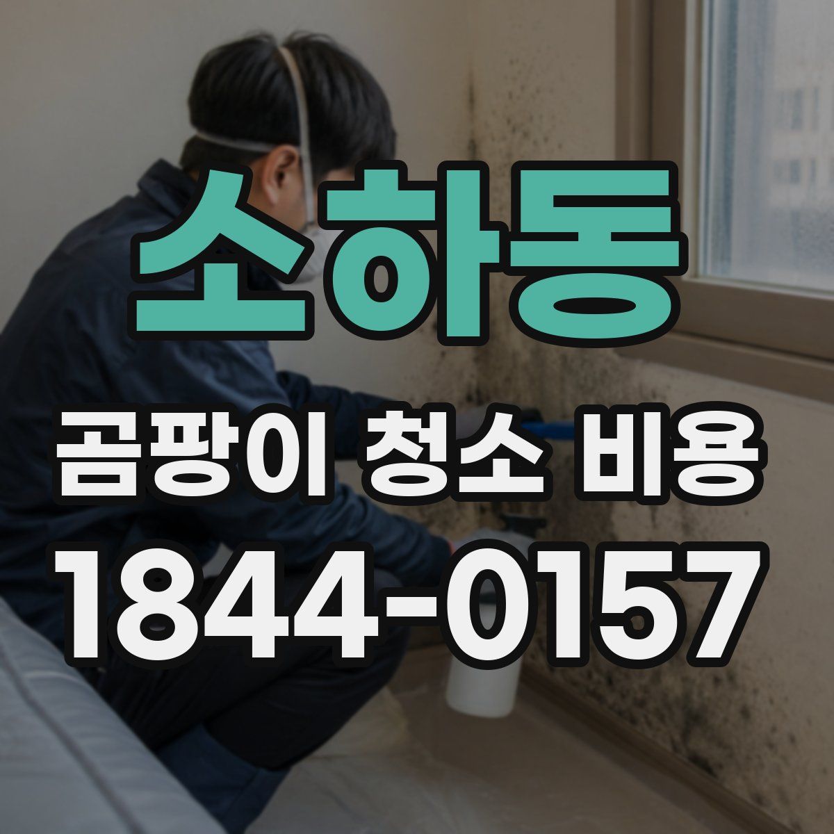 소하동 곰팡이 청소 비용
