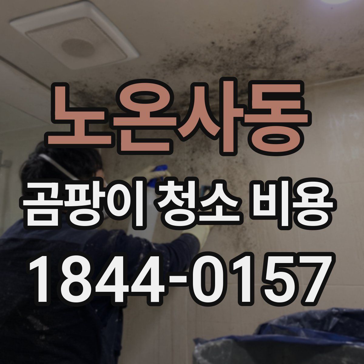 노온사동 곰팡이 청소 비용