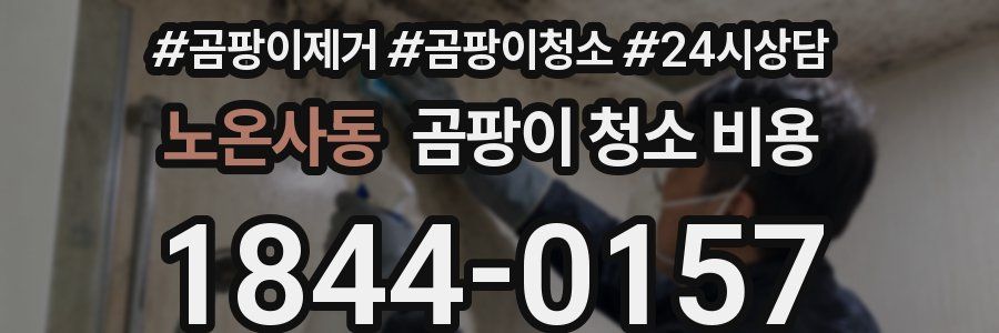 노온사동 곰팡이 청소 비용