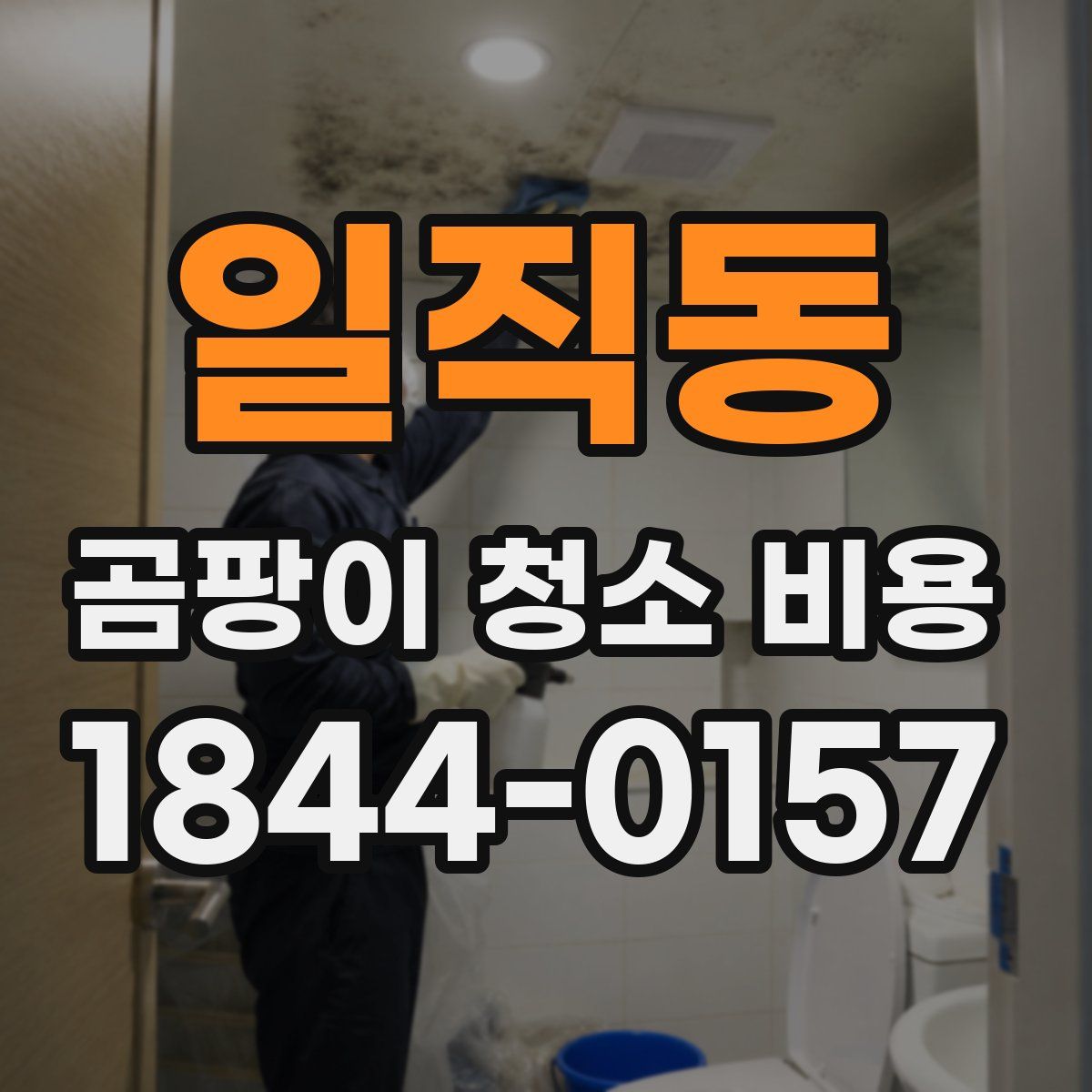 일직동 곰팡이 청소 비용