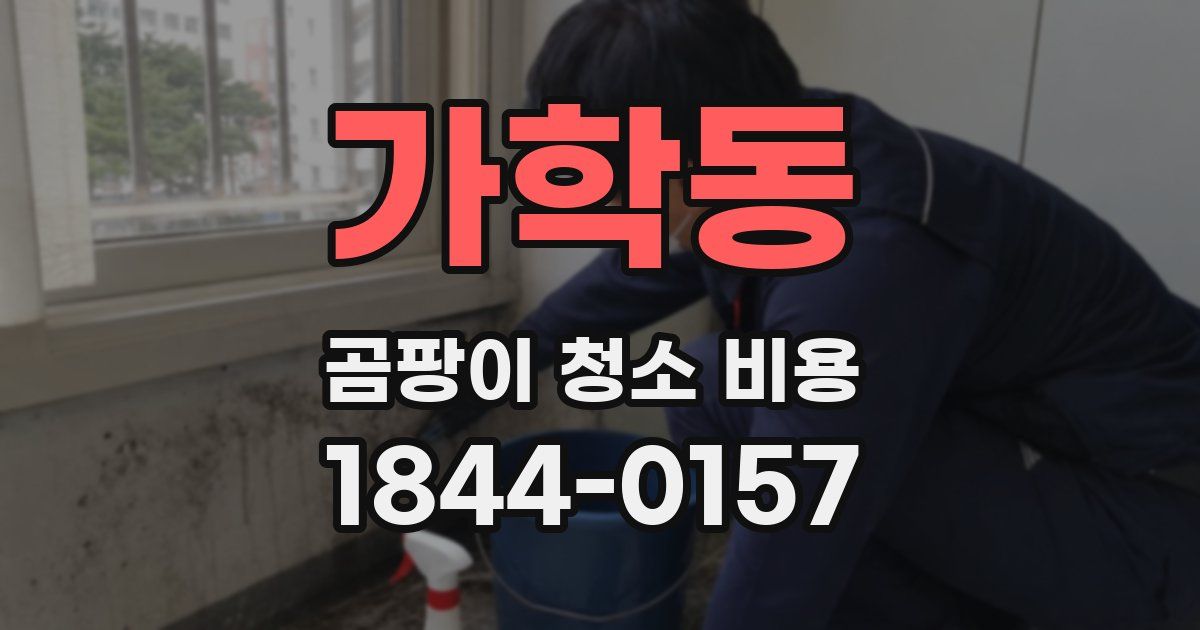 가학동 곰팡이 청소 비용