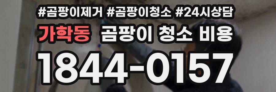 가학동 곰팡이 청소 비용