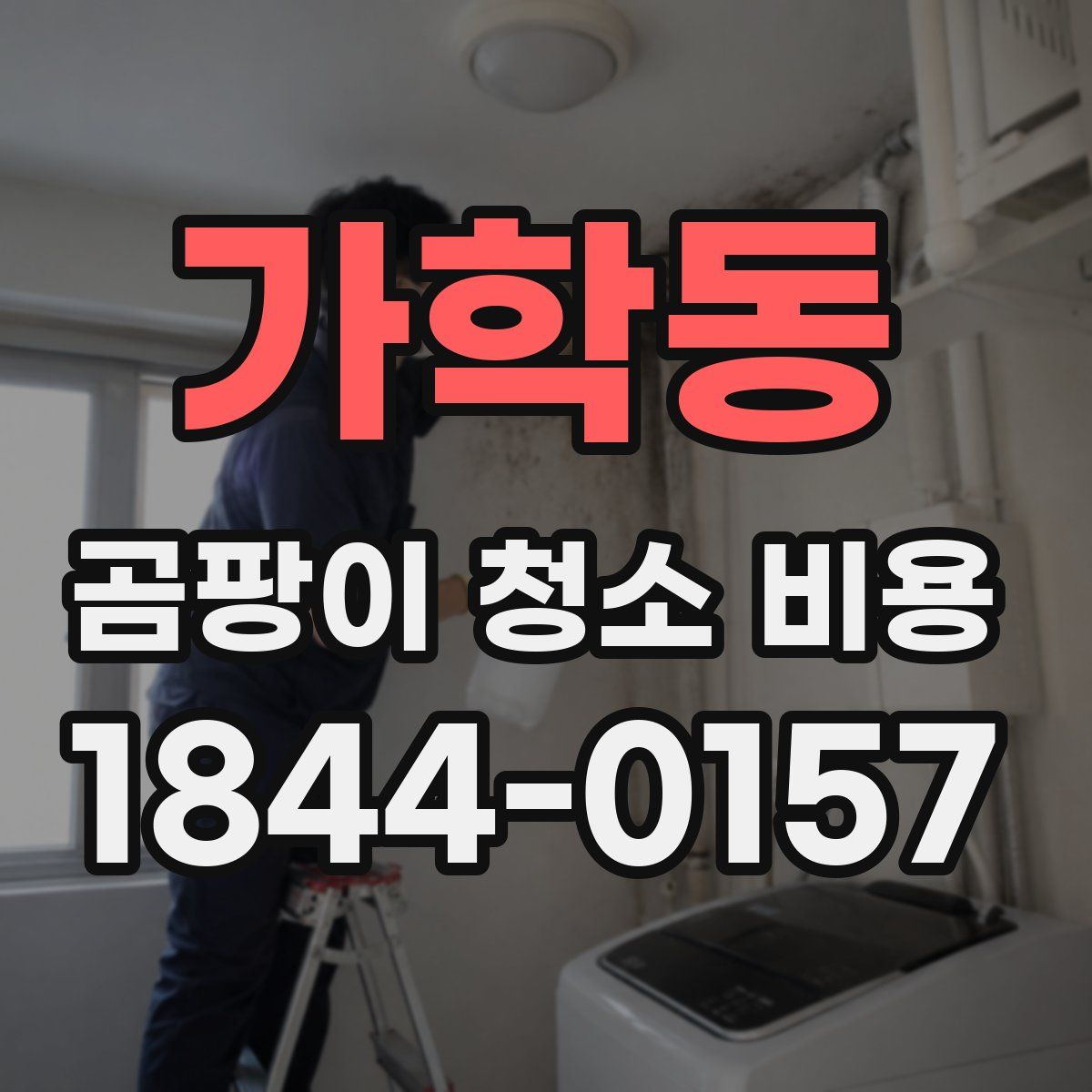 가학동 곰팡이 청소 비용
