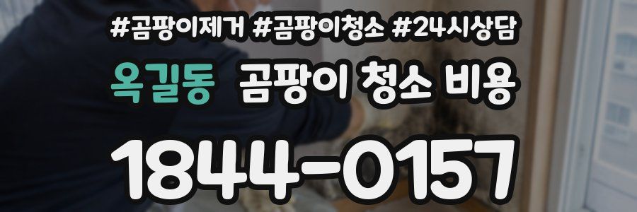 옥길동 곰팡이 청소 비용