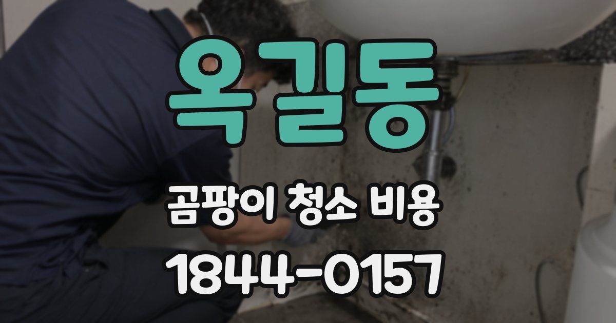 옥길동 곰팡이 청소 비용