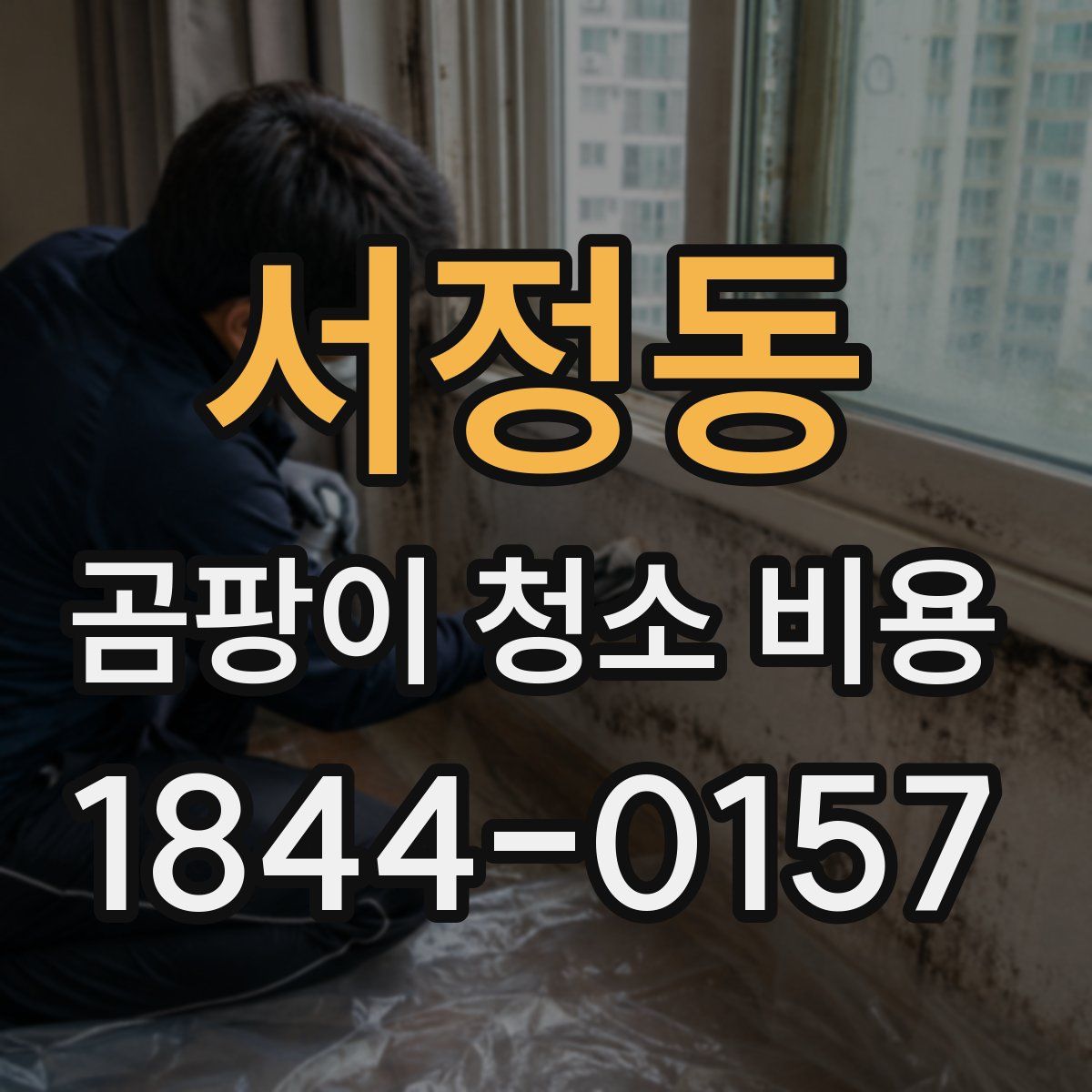 서정동 곰팡이 청소 비용
