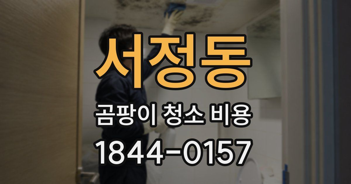 서정동 곰팡이 청소 비용