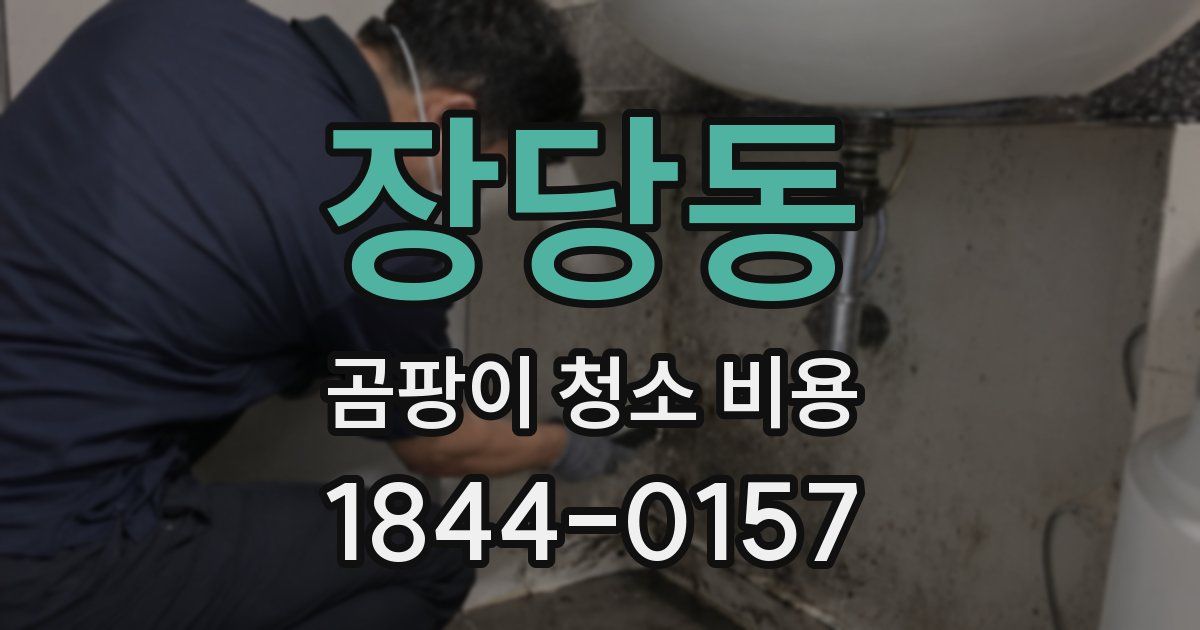 장당동 곰팡이 청소 비용
