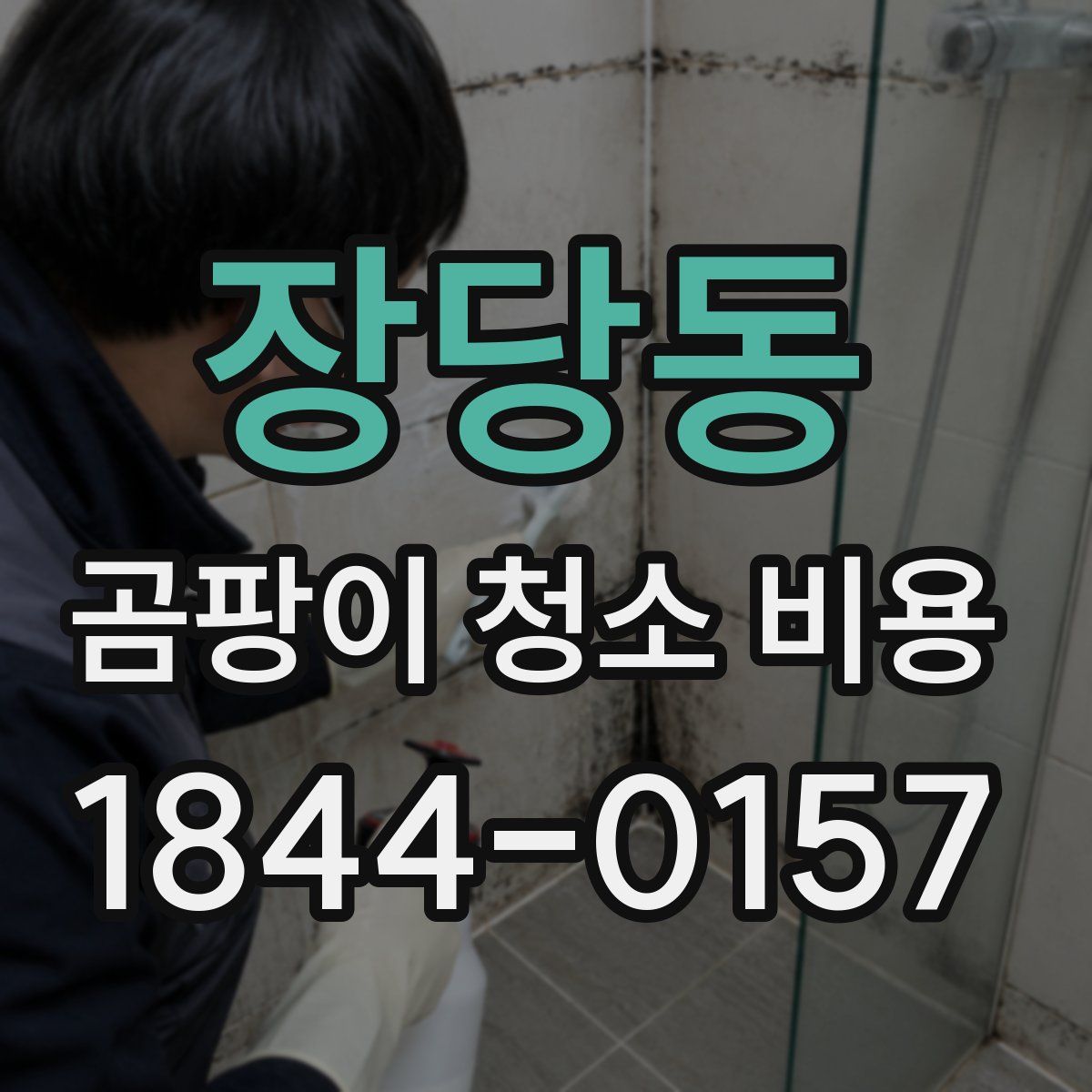 장당동 곰팡이 청소 비용