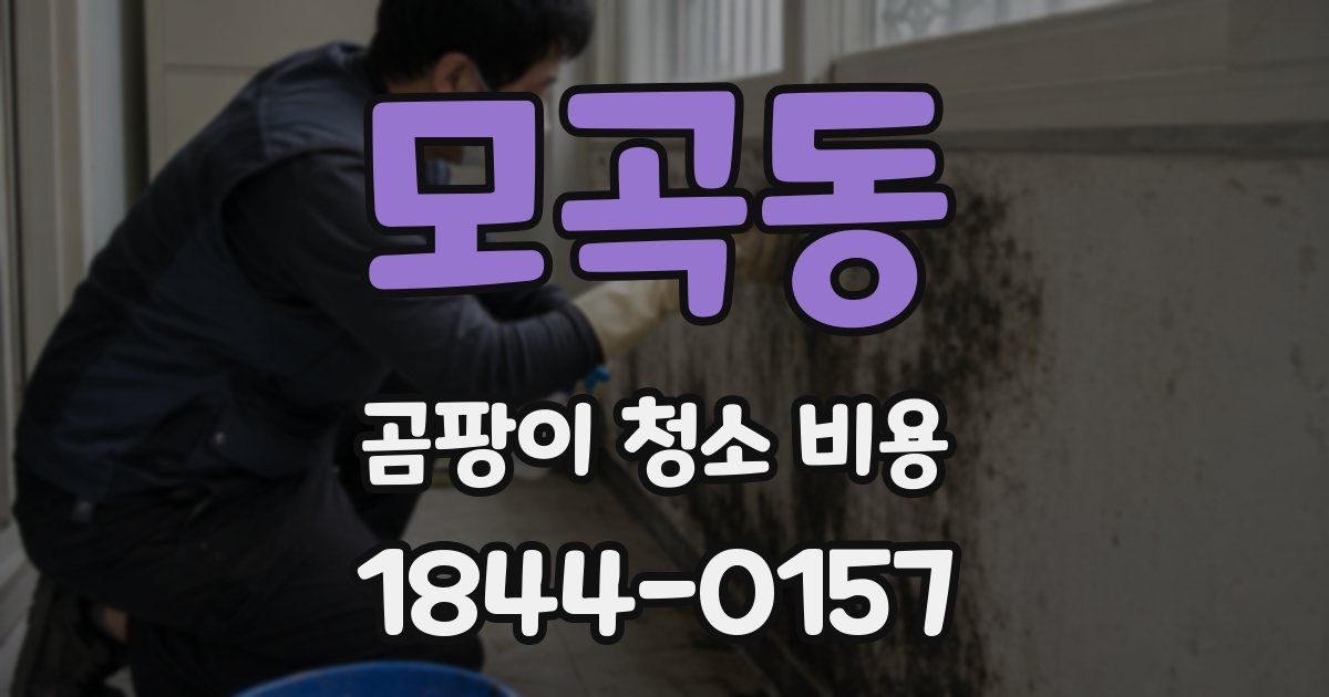 모곡동 곰팡이 청소 비용