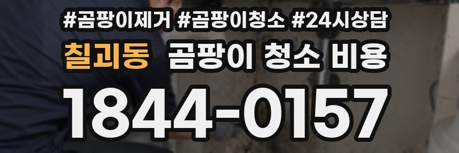 칠괴동 곰팡이 청소 비용