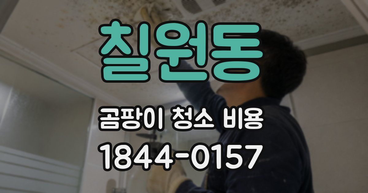 칠원동 곰팡이 청소 비용