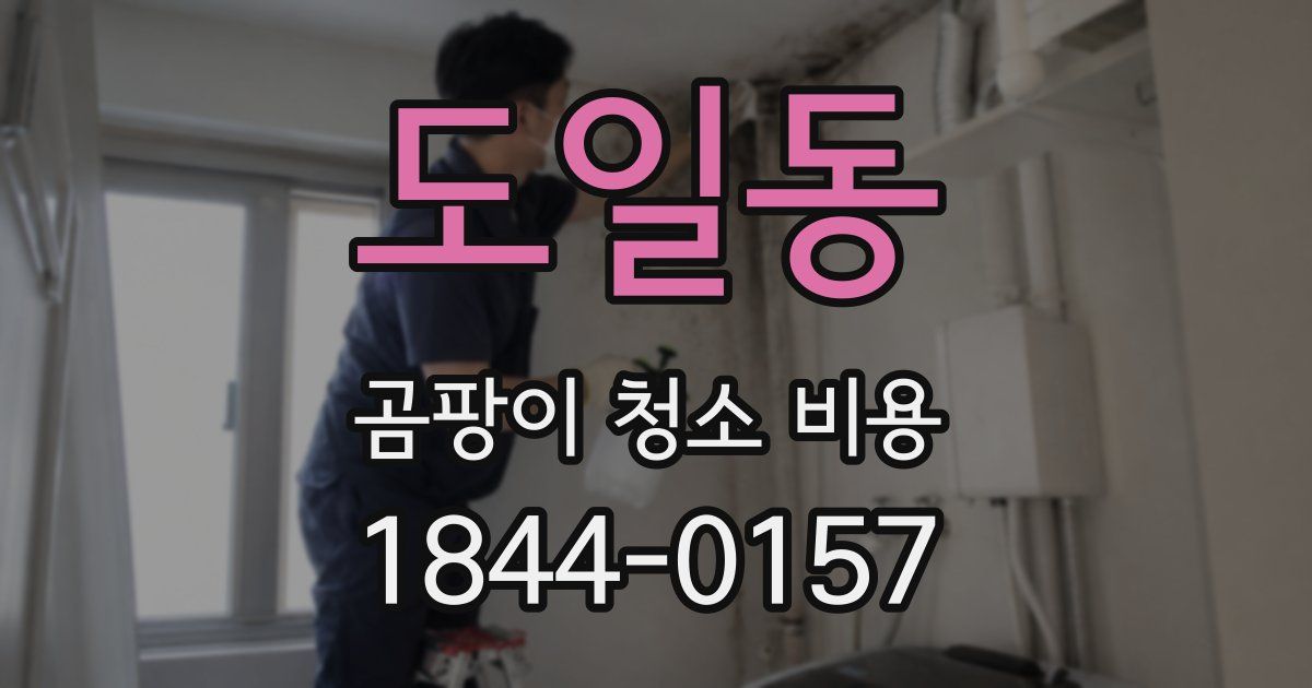 도일동 곰팡이 청소 비용