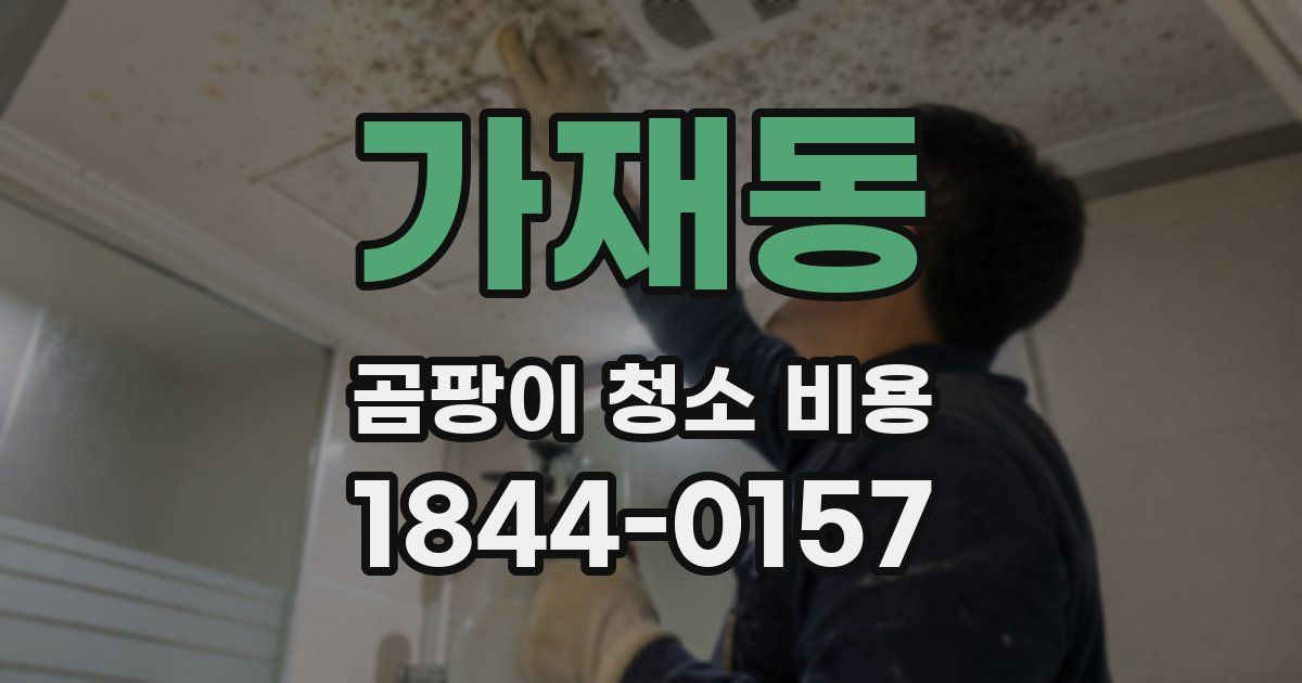 가재동 곰팡이 청소 비용