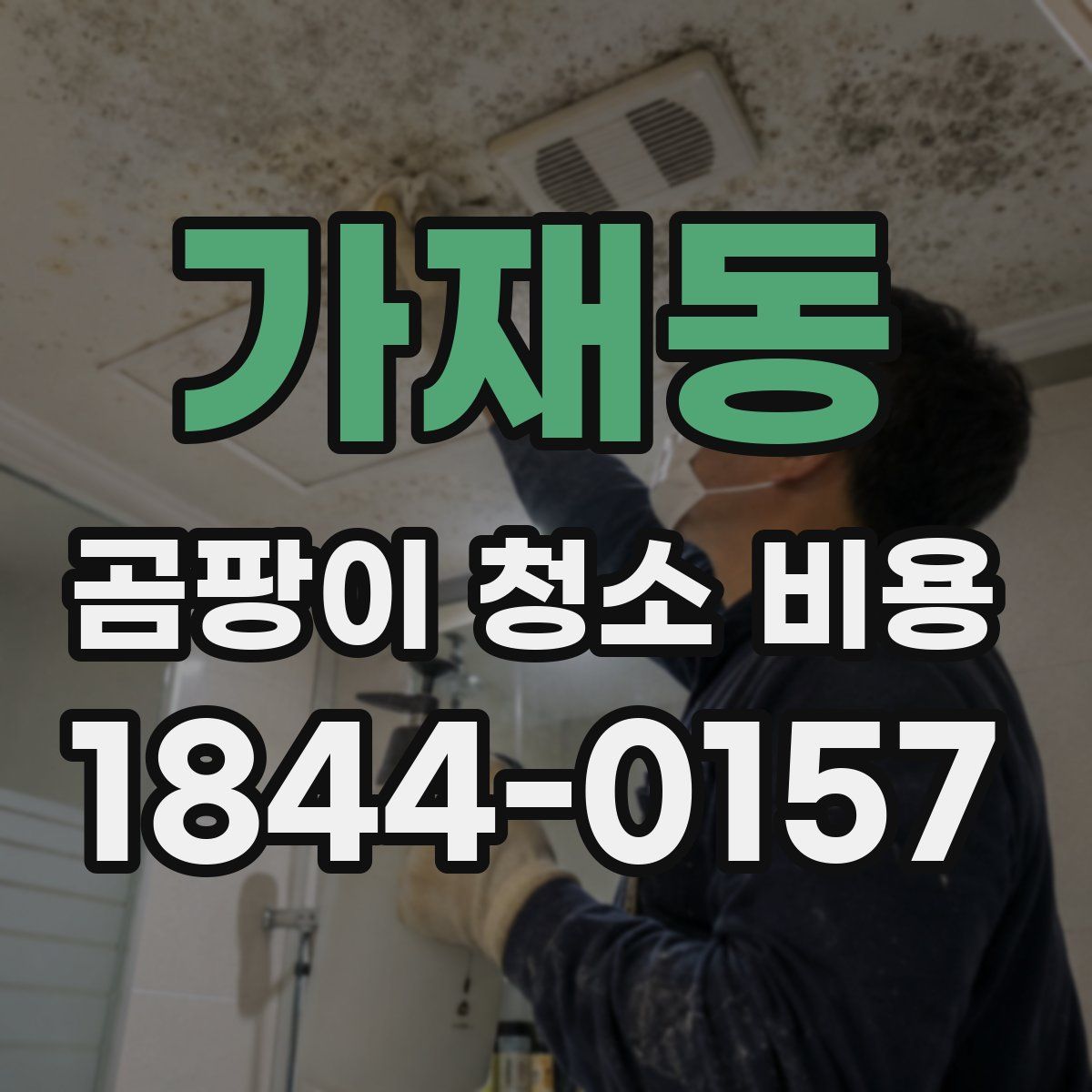 가재동 곰팡이 청소 비용