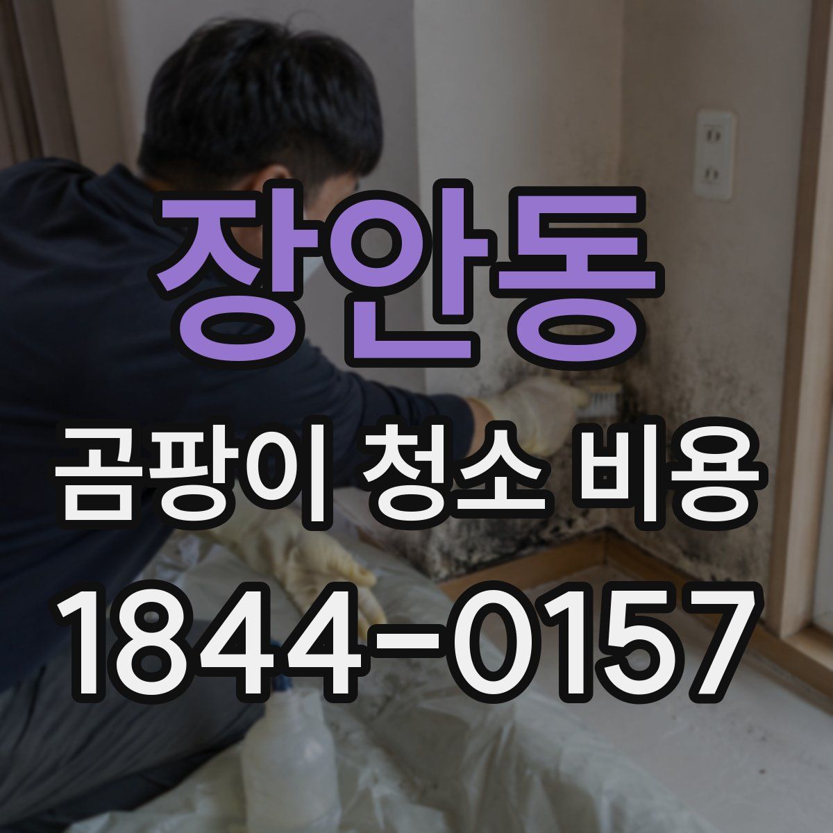 장안동 곰팡이 청소 비용