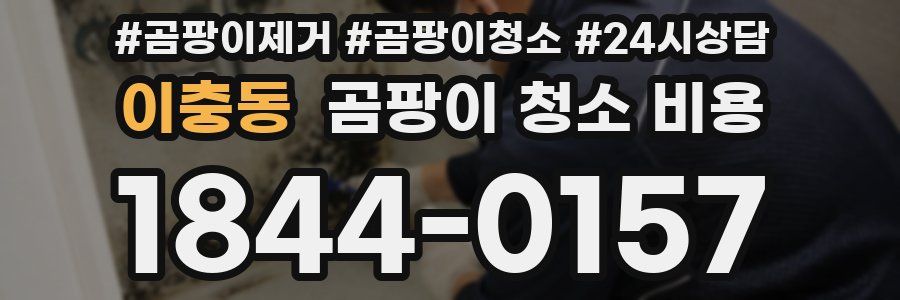 이충동 곰팡이 청소 비용