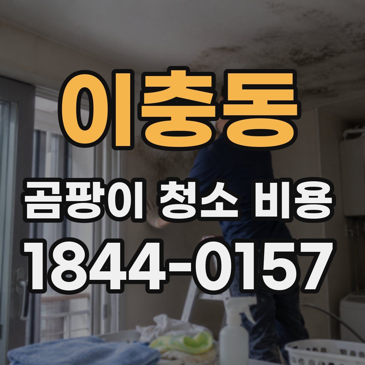 이충동 곰팡이 청소 비용