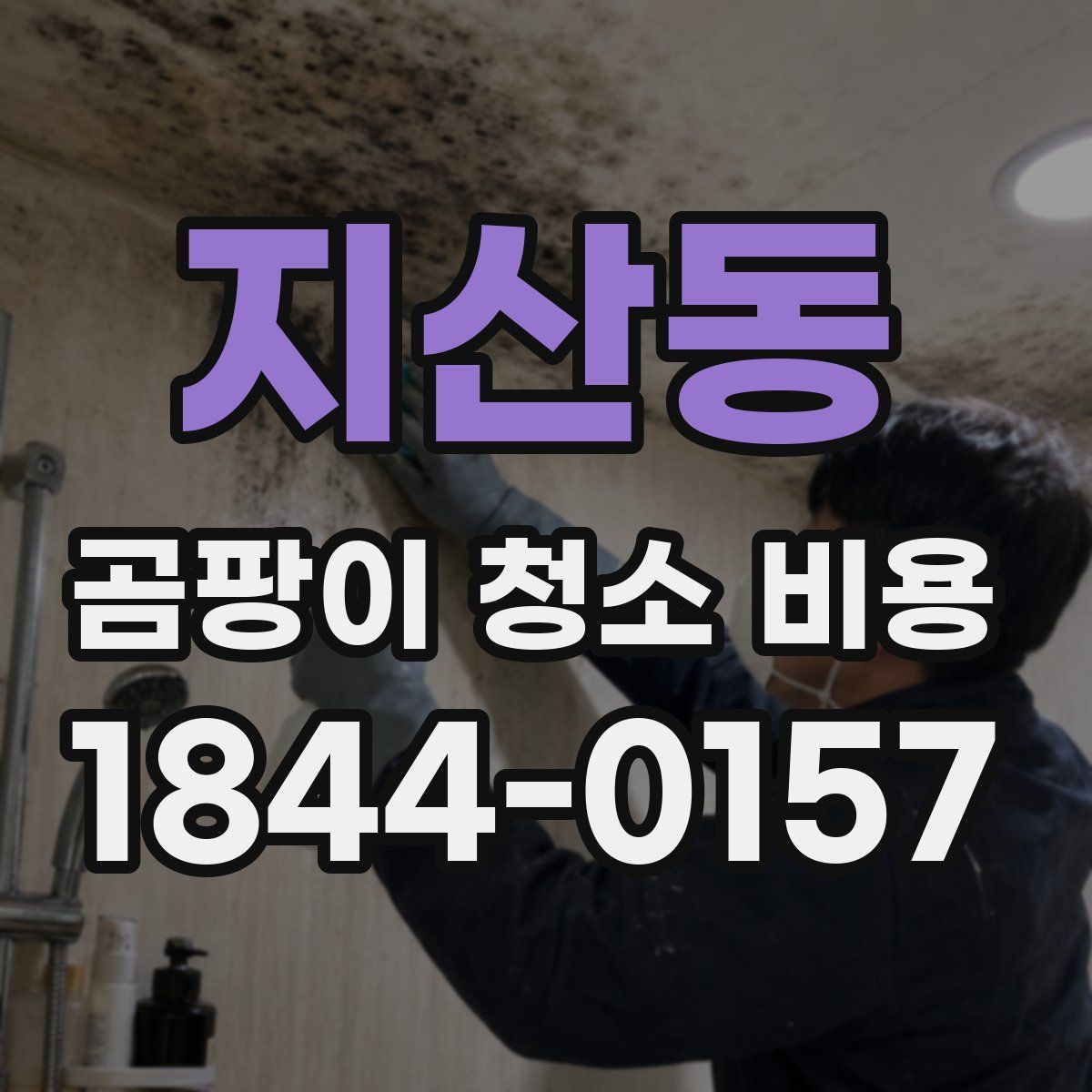 지산동 곰팡이 청소 비용