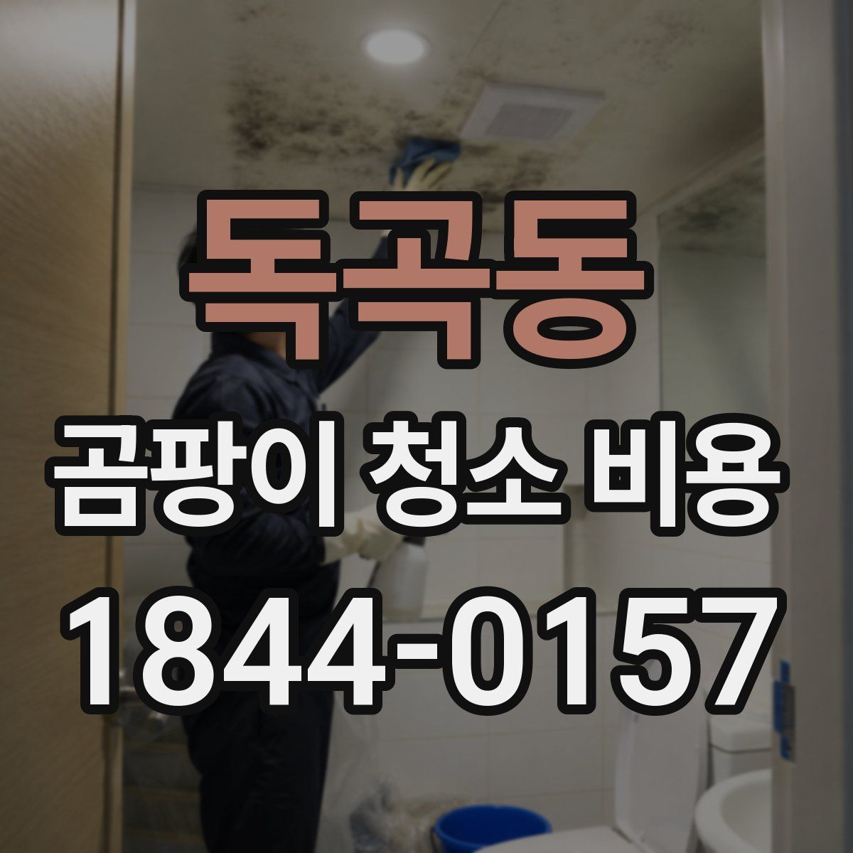 독곡동 곰팡이 청소 비용