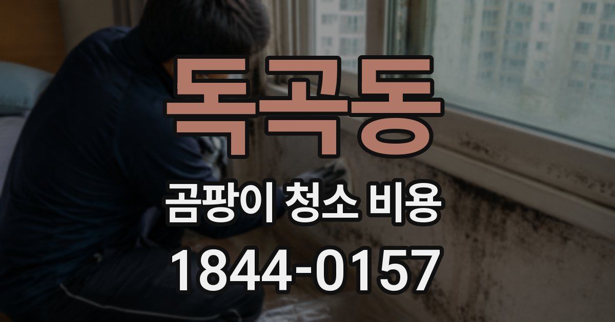 독곡동 곰팡이 청소 비용
