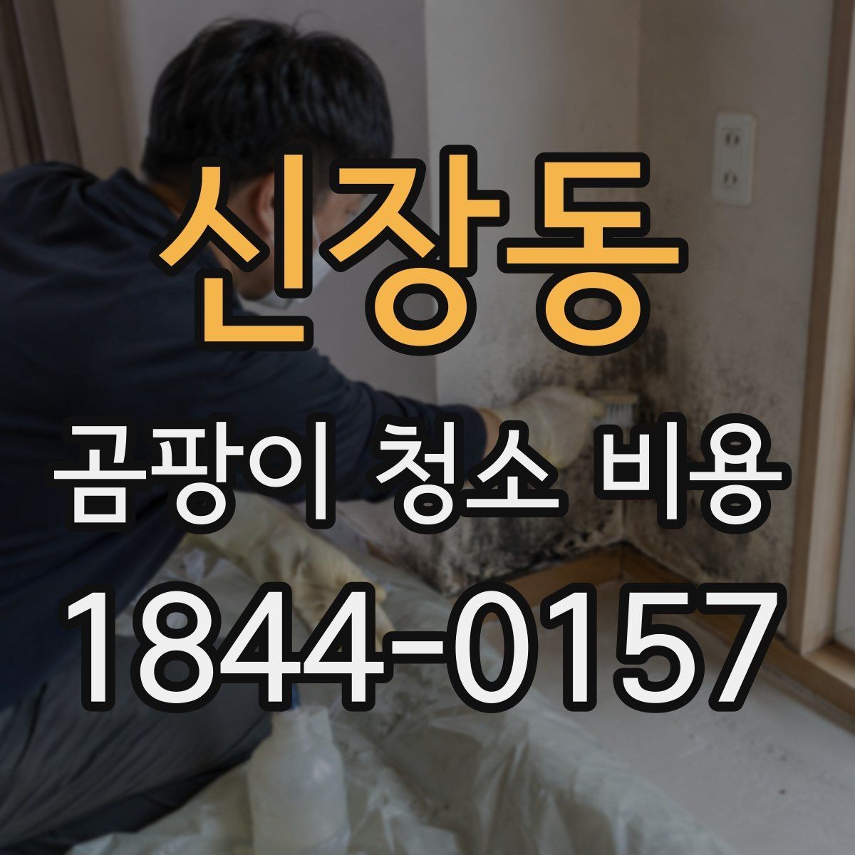신장동 곰팡이 청소 비용 누수 흔적이 남은 곳의 추가 조치