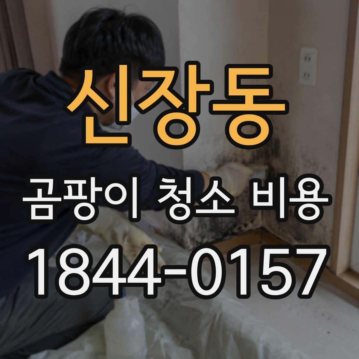 신장동 곰팡이 청소 비용