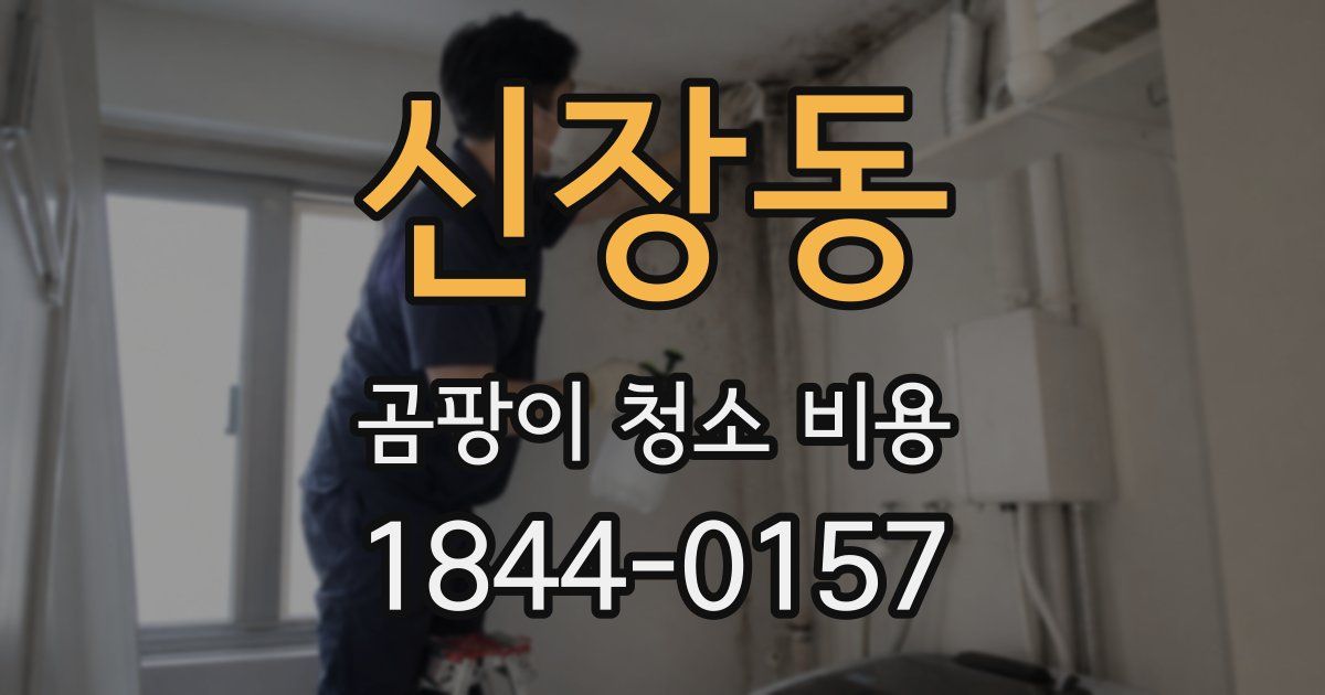 신장동 곰팡이 청소 비용