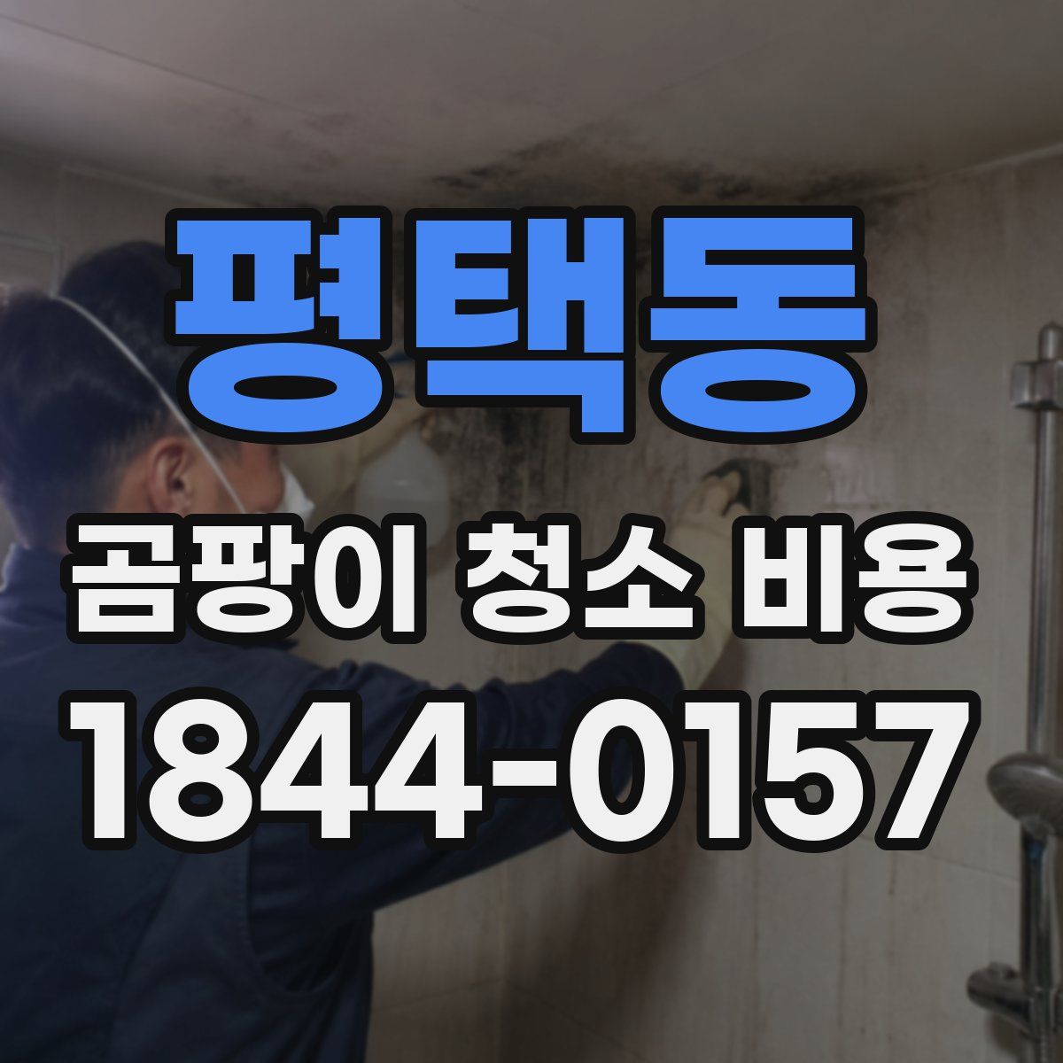 평택동 곰팡이 청소 비용