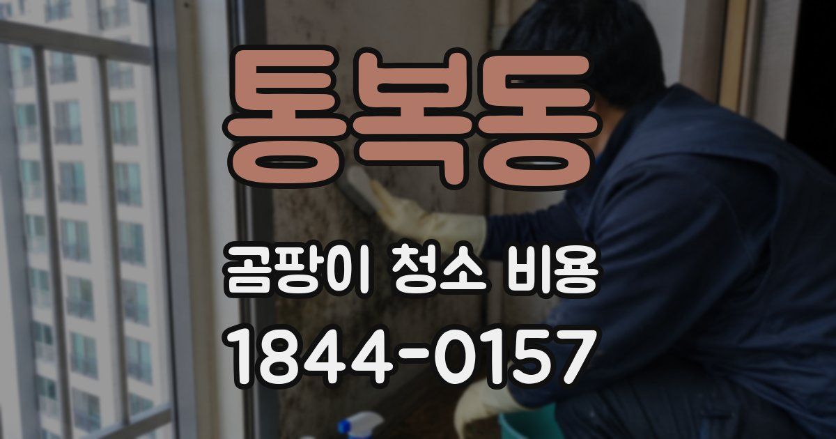 통복동 곰팡이 청소 비용